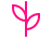 Image representing plant and soil partnership
